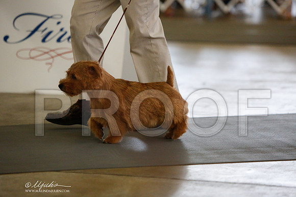 _JJ_2278-DallasJul2014-HR3