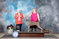 Cindy Moore Belton 2024