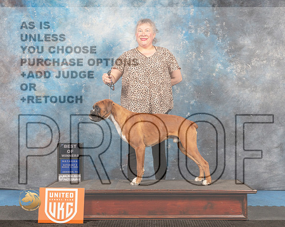 Boxer #108 Sat2 BOW Judge David Arthur_MMJ_6560_Addison2022_HR3