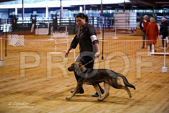BISpup-3573-MrshllDec13-HR