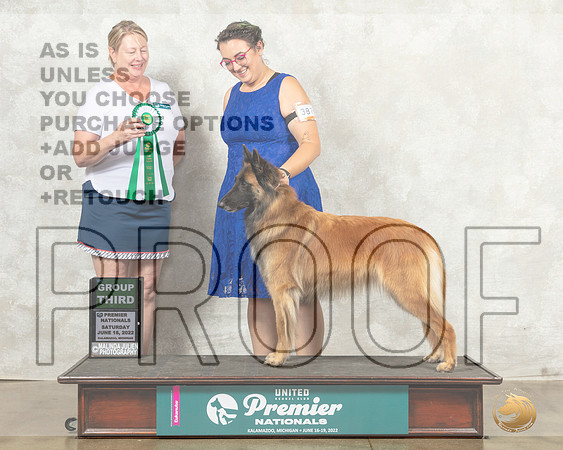 Belgian Shepherd Dog #387 Sat G3 Judge Pam Perdue__MJ_8617_Premier_2022_HR3