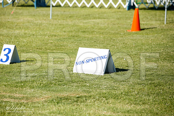 _JN_7594-AlamogordoOct2014-HR3