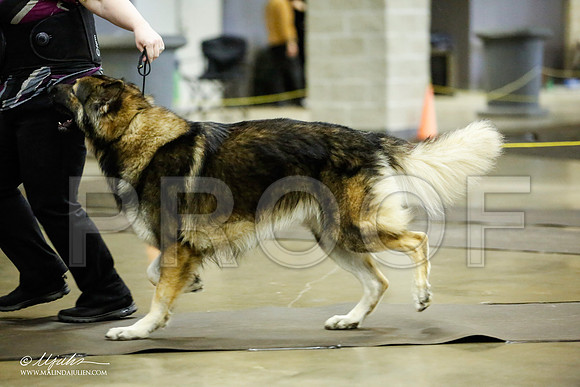 _JJ_6612-BeltonJan2015IABCA-HR3