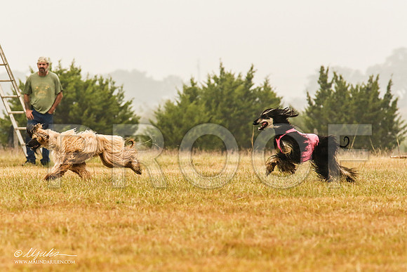 _MJ_3244-AfgBeltonOct2014-HR3