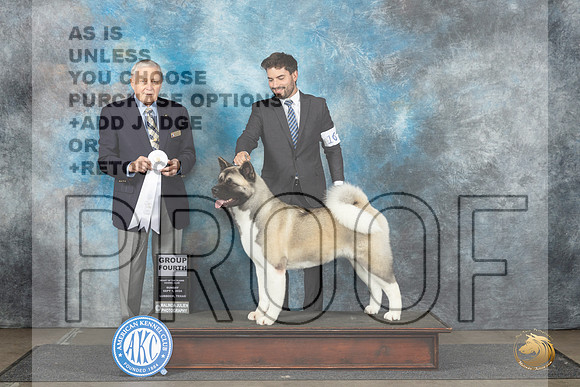 Akita #10 Sun G4 Judge David Bolus__JP_3970_Lubbock_2024_HR3