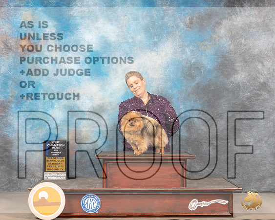 Pomeranian #22 Sat WB Judge Linda ClarkMMJ_4493_Mdlnd2022_HR3