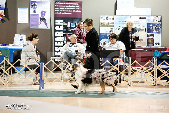 _JJ_2428-ASCACollegeStationNov2014-HR3