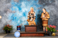 Norwich Terrier #44 Fri BOS Judge Elizabeth ‘Beth’ Sweigart