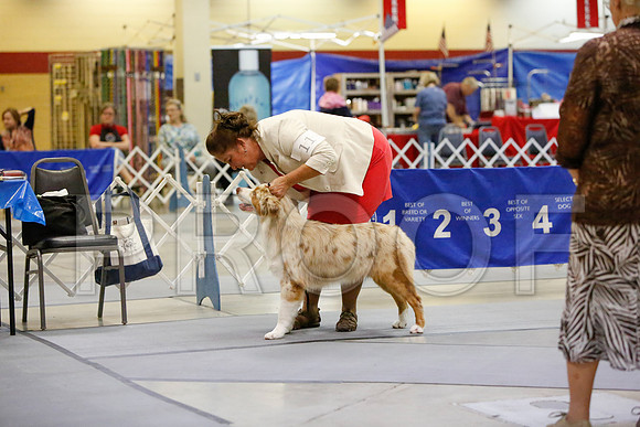 _JN_3539-AmarilloSept2014-HR3