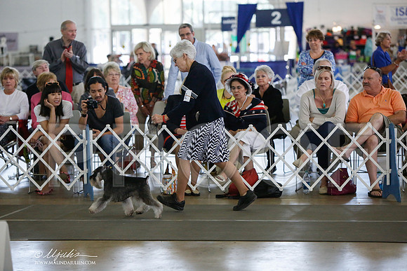 _JJ_2201-DallasJul2014-HR3