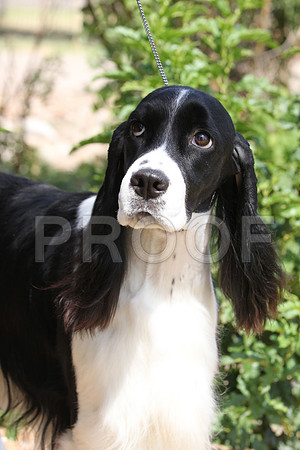 MJS_3916