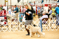 Soft Coated Wheaten Terrier Sun Ring
