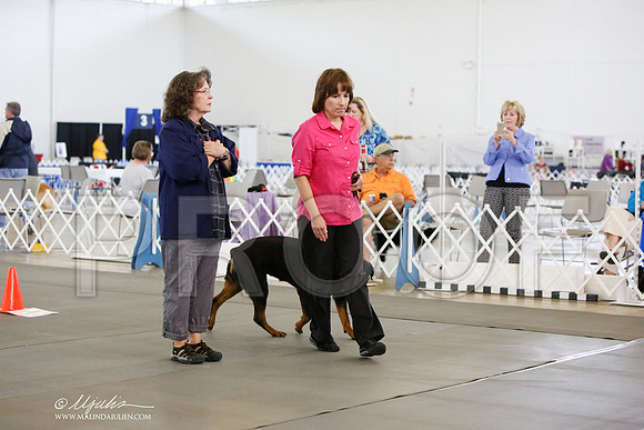 _JN_8681-DallasJul2014-HR3