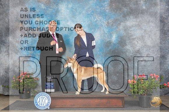 Shikoku Ken #5 Sun OG3 Judge John Booth__JP_5992_San Antonio_2024_HR3