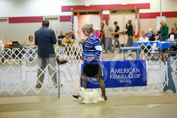 _JJ_2628-AmarilloSept2014-HR3