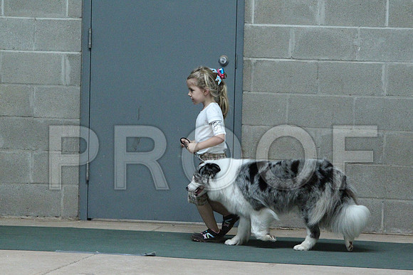 AussieCCL_3361LR