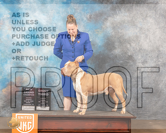 American Bully #300 Sun1 G3 Judge Sonia YearwoodMMJ_5914_Lngvw2022HR3