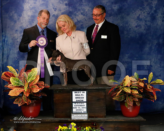 AmHrlss-8899-NormNov2013-HR