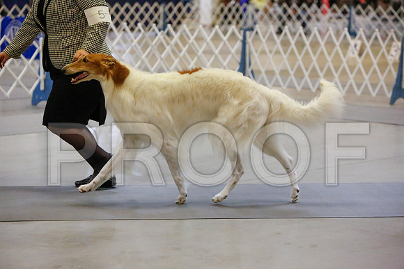 _JJ_3780-AmarilloSept2014-HR3