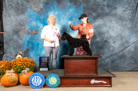 Pumi #16 Sat WB Judge Lisa Graser