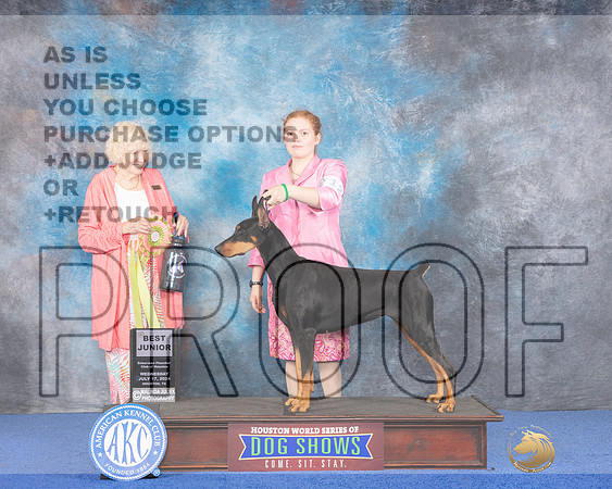 Derberman # WED BJ Judge Nancy Liebes_JP_7304e_Houston_2024-HR3