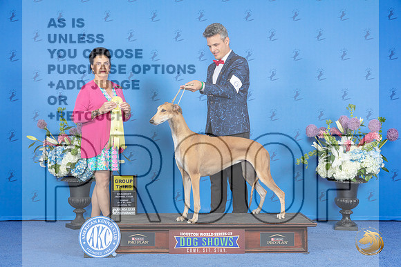 Greyhound #6 SUN G3 Judge Debbie Freeman__JP_0661_Houston_2024_HR3