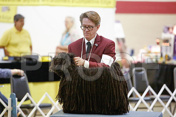 _JN_6058-AmarilloSept2014-HR3