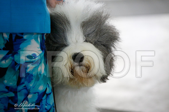 _JJ_6061-DallasJul2014-HR3