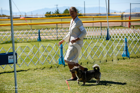 _JN_4910-AlamogordoOct2014-HR3