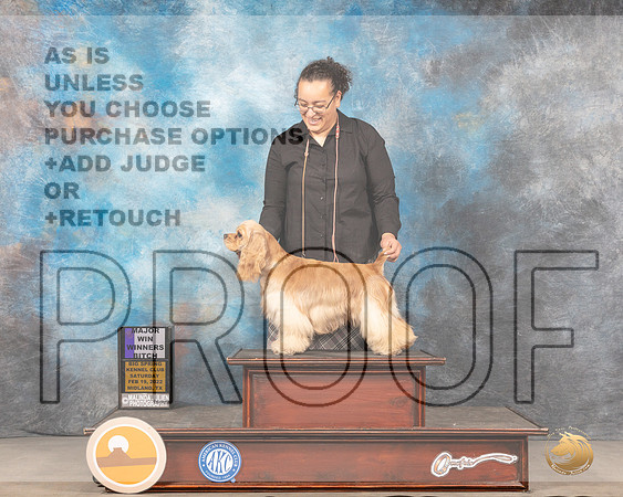 Cocker Spaniel ASCOB #14 WB Judge Jim FehringMMJ_4237_Mdlnd2022_HR3