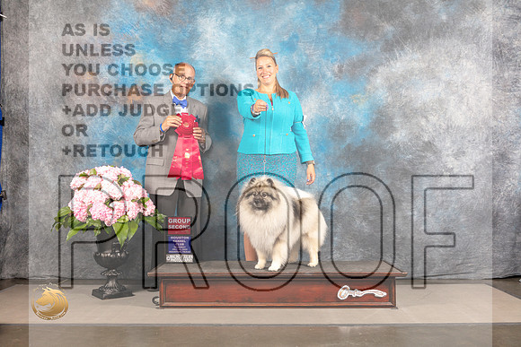 Keeshond #6 Thur G2 Judge Luis Sosa_MJ_4647_Houston_2022_HR3