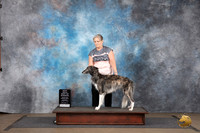 Silken Windhound #297 Sat BM BOW Judge Matthew Proctor