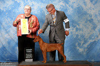 German Pinscher #6 Sat G3 Eastman Sharron Harlow & Jil Judge Denny C Mounce