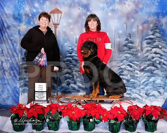 rott-6539-MrshlDec13-HR