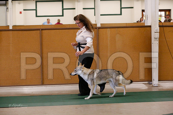 ChWd-9510-NormNov13-HR