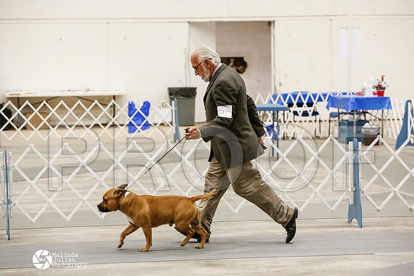 _CK_8517-AblnMay2014-web