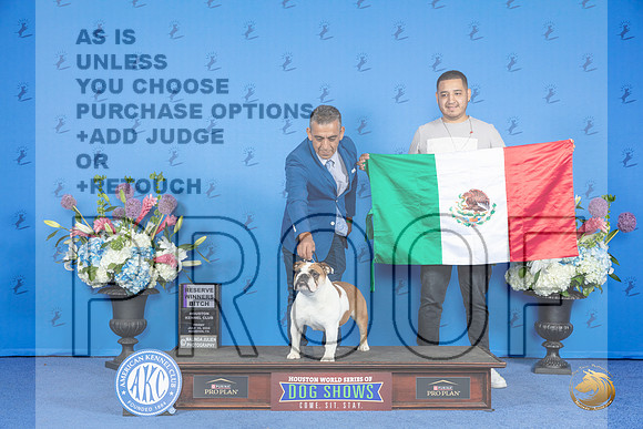 Bulldog #28 FRI RWB Judge Sandra Lex__JP_0189_Houston_2024_HR3