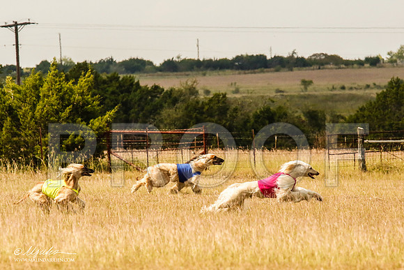 _MJ_5620-AfgBeltonOct2014-HR3