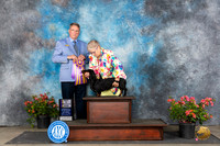 Dachshund Smooth #10 Sat BISS Judge Kenneth L Hagmueller