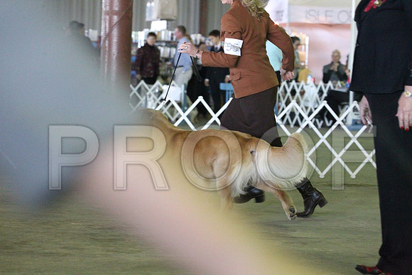 MJS_3264