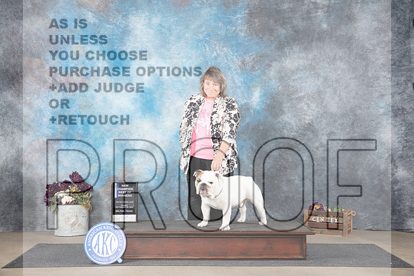 Bulldog #7 Sun WDBOWNCh Judge Donelle Richards__JP_7634_Belton_2024_HR3