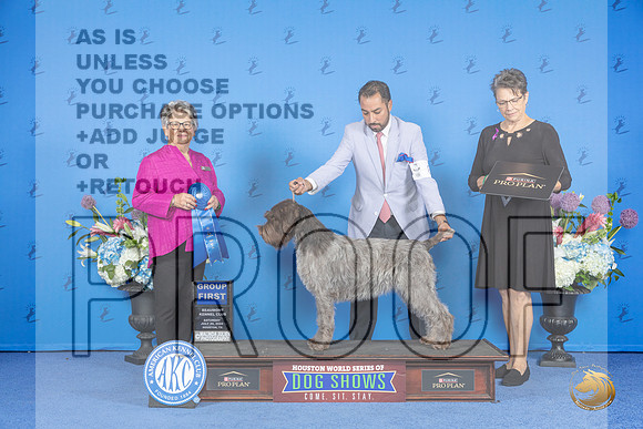 Wirehaired Pointing Griffon #8 SAT G1 Judge Sandra Lex__JP_0006_Houston_2024_HR3