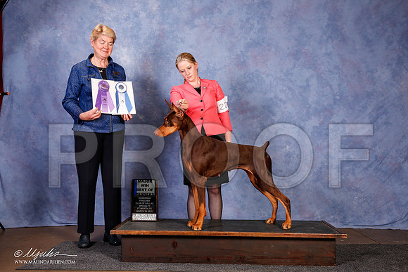 _S2_1524-FWMar2015-HR3