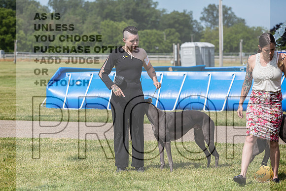 Greyhound #104 Wed_JJL_1676_Premier_2024_HR3
