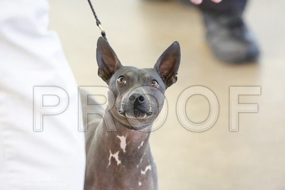 _JJ_7488-DallasJul2014-HR3