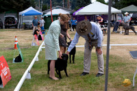 *Ringside Longview WA 2024 Labrador Retriever Judge