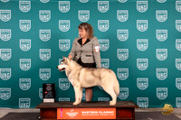 Siberian Husky #120 Fri G1 Judge Dr Kathryn Baxter