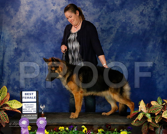GSD-9350-NormNov13-HR