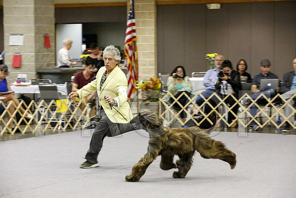 _JJ_9585-AfgBeltonOct2014-HR3