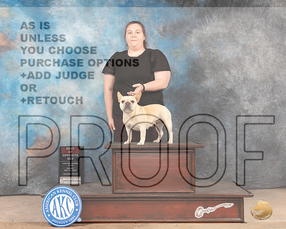 French Bulldog #6 Sun BOS Judge Pat Trotter-MMJ_5092-Abilene2022-HR3